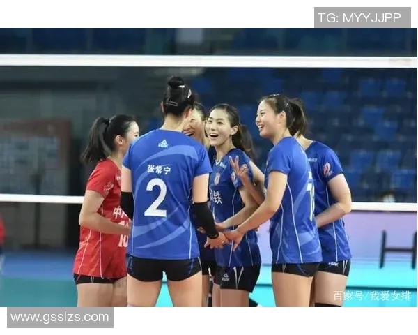 武汉排球队与南京排球队技术对比分析赛后复盘探讨